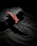 Ashborn — Blackwood Relic Blade